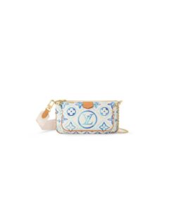 LV Multi Pochette Accessoires