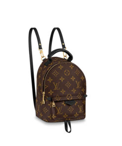 LV Palm Springs Mini Backpack