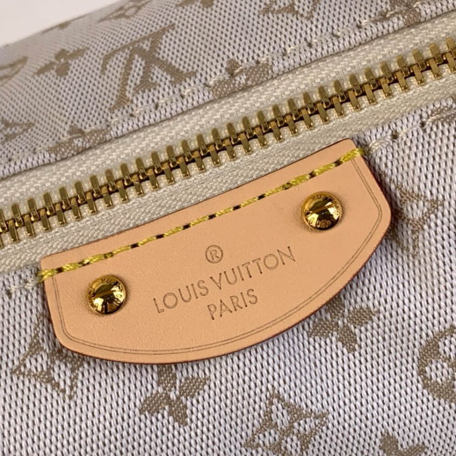 LV Hills Pochette - Image 6