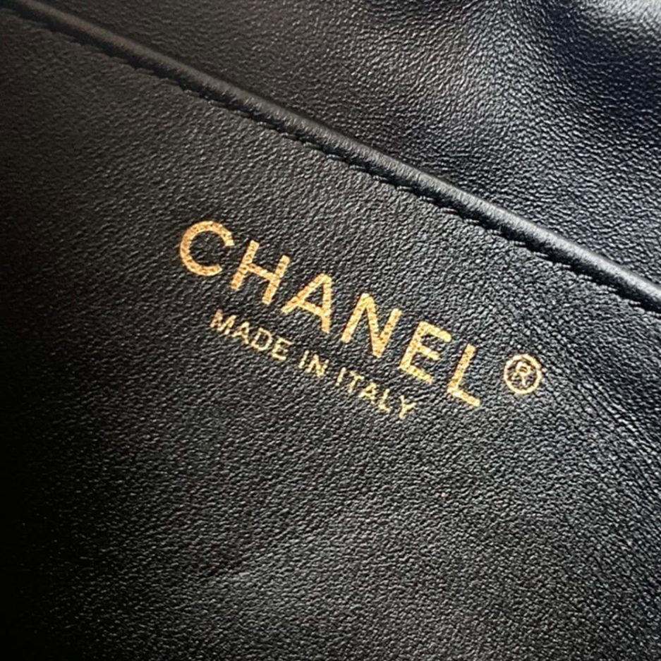 CHANEL Mini Camera Case(high-end grade) - Image 7