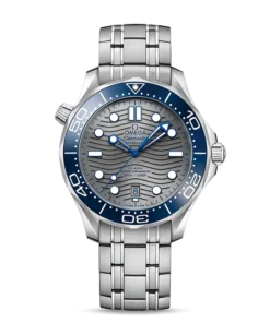 DIVER 300M CO?AXIAL MASTER CHRONOMETER 42 MM-210.30.42.20.06.001