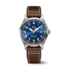 IW327010 PILOT??S WATCH (MARK XVIII EDITION ??LE PETIT PRINCE??)